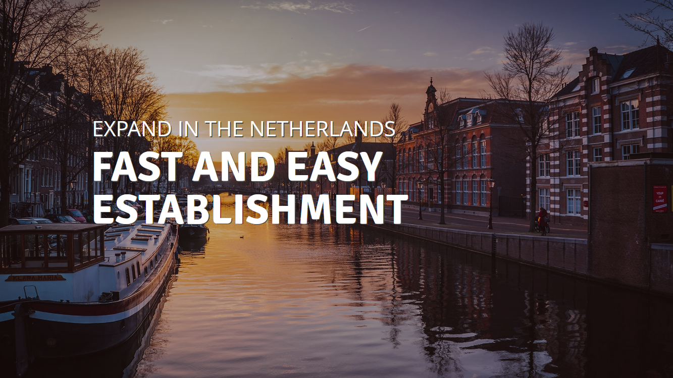 Get help for fast and professional establishment in Holland